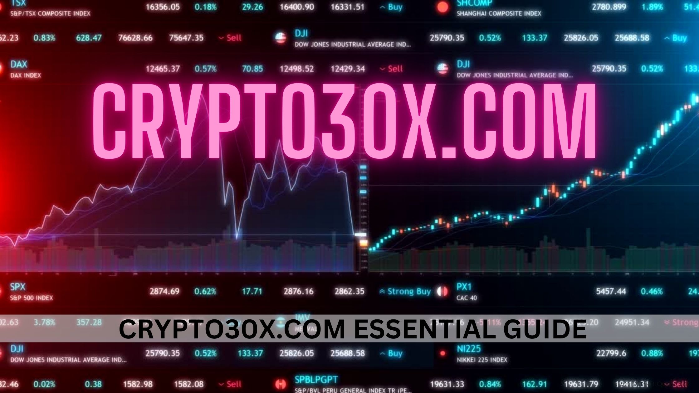 Crypto30x.com Essential Guide