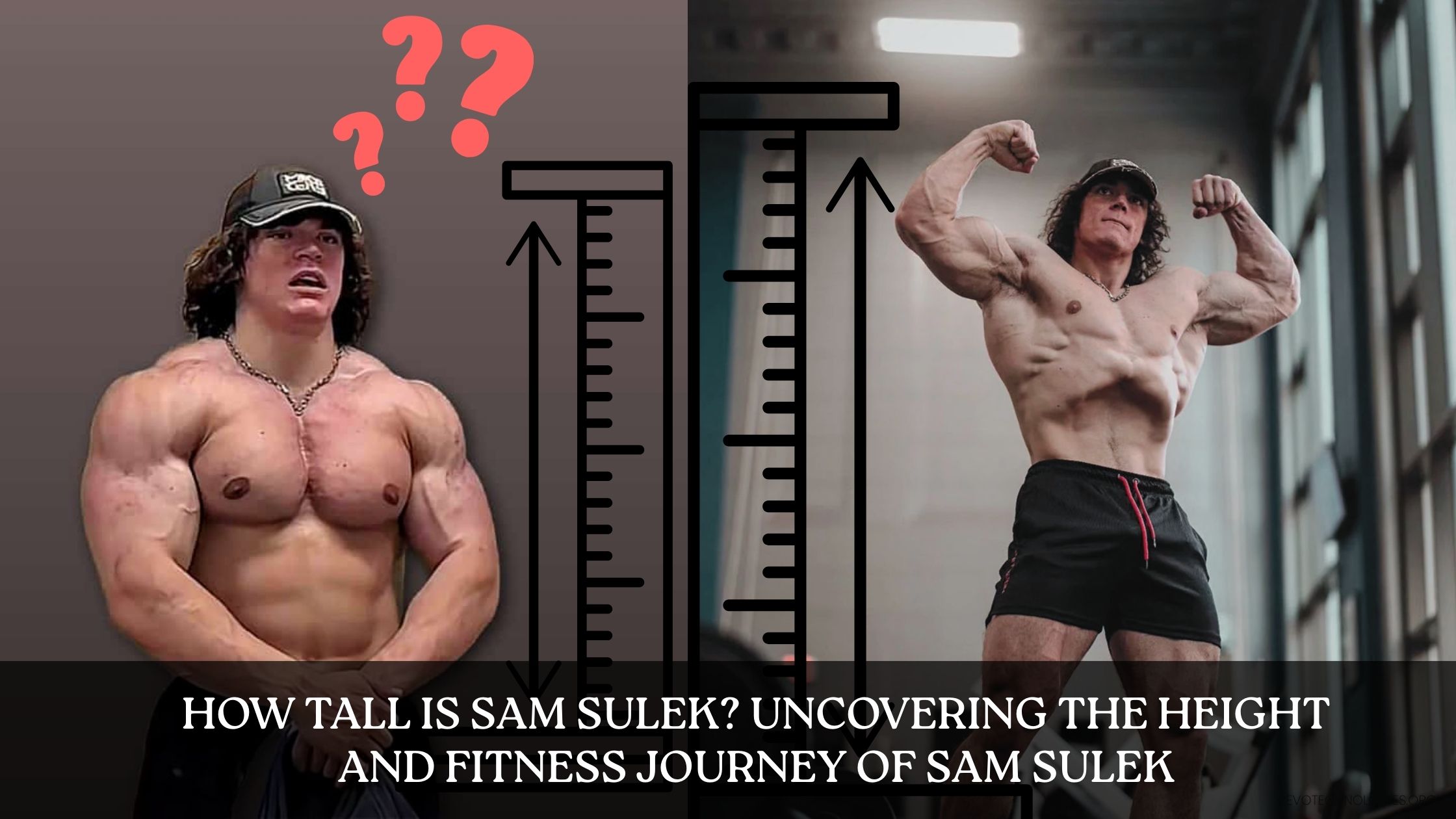 How Tall Is Sam Sulek