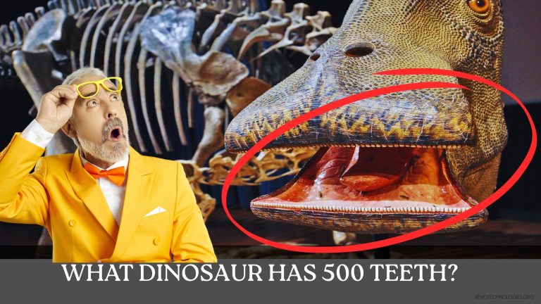 What dinosaur has 500 teeth The answer is the Nigersaurus