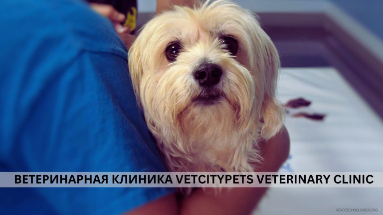ветеринарная клиника VetCityPets Veterinary Clinic
