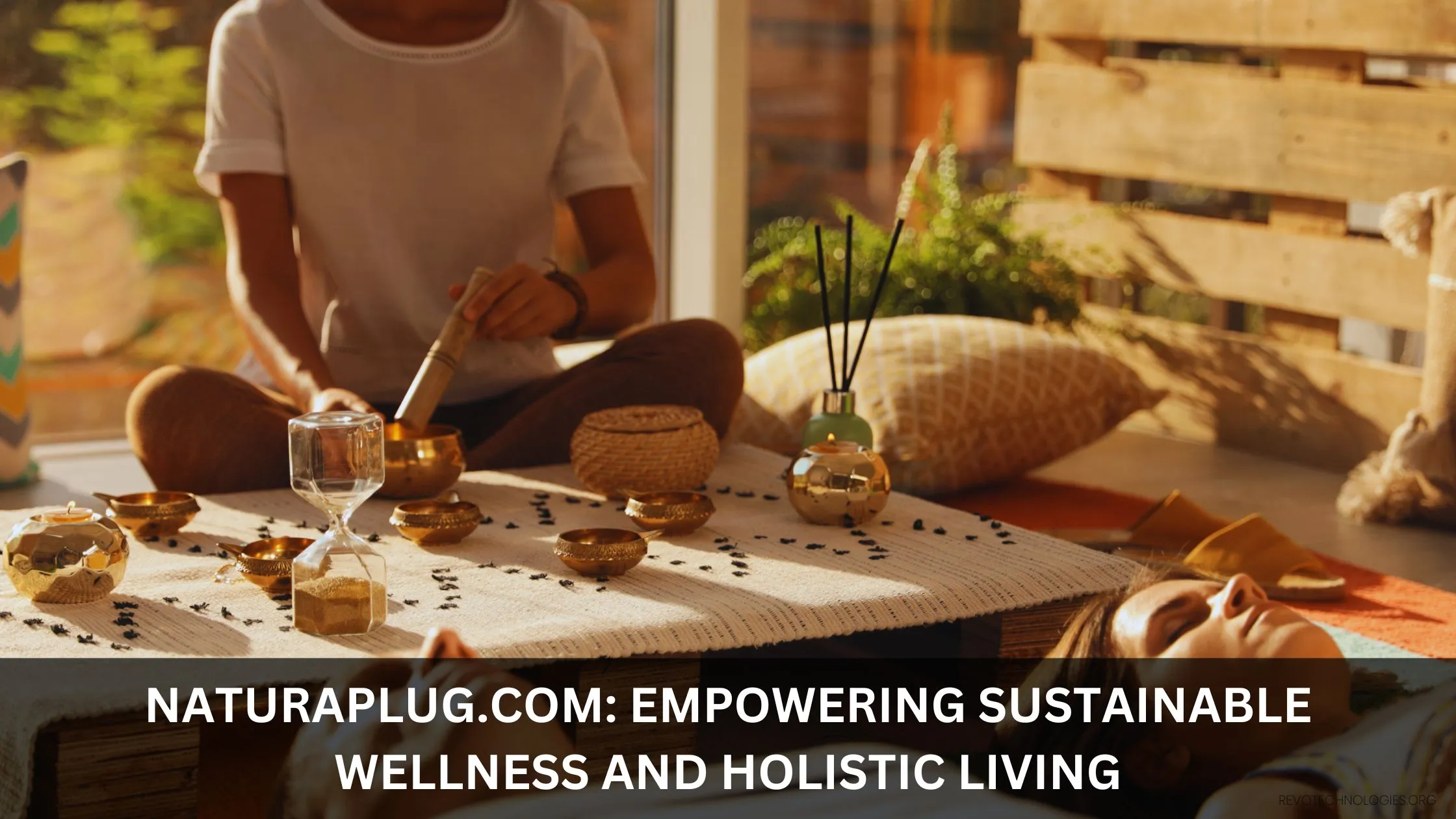 naturaplug.com 8236 Qylorinth Road Zynoril, NJ 48572